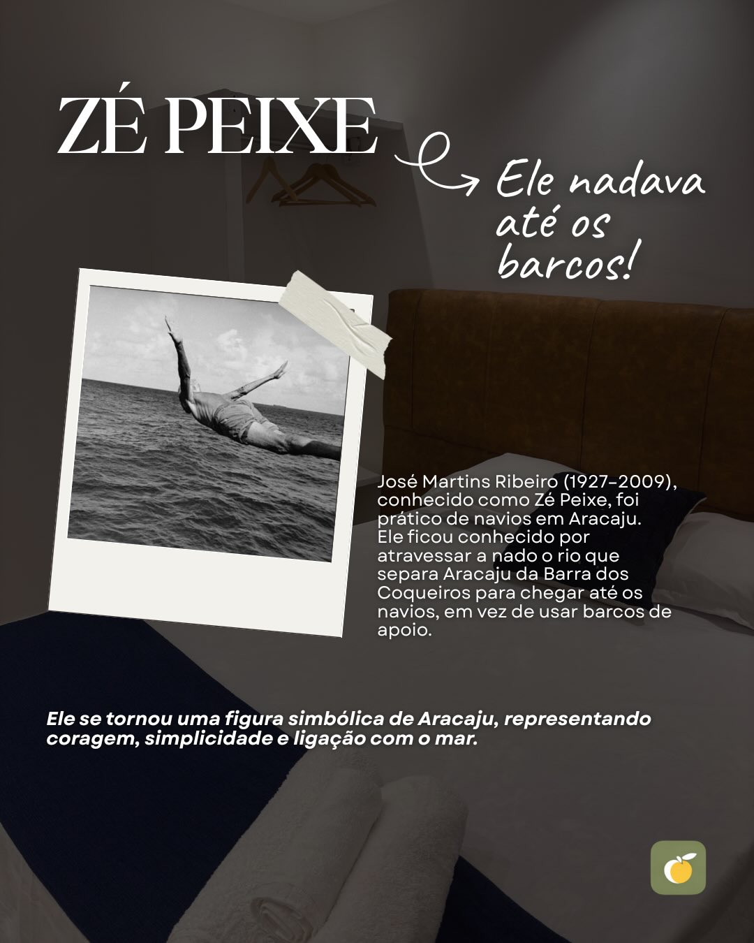suite ze peixe